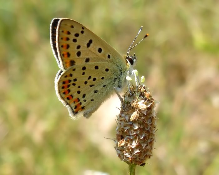 mattinata sul Subasio